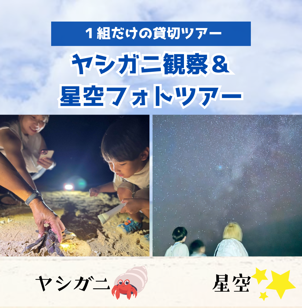 ヤシガニ＆星空フォトツアー