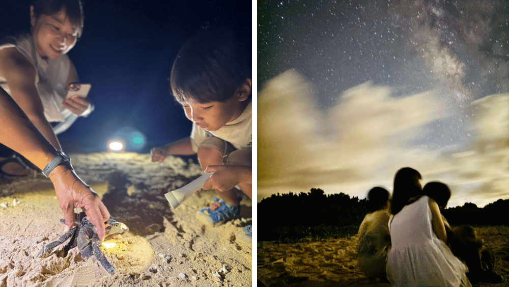 ヤシガニ観察の親子