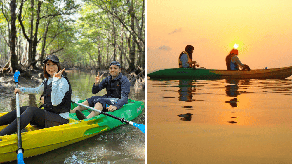 マングローブカヤックサンセットカヤック